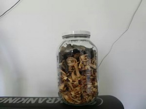 dried mushrooms